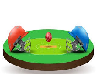 Daily fantasy cricket