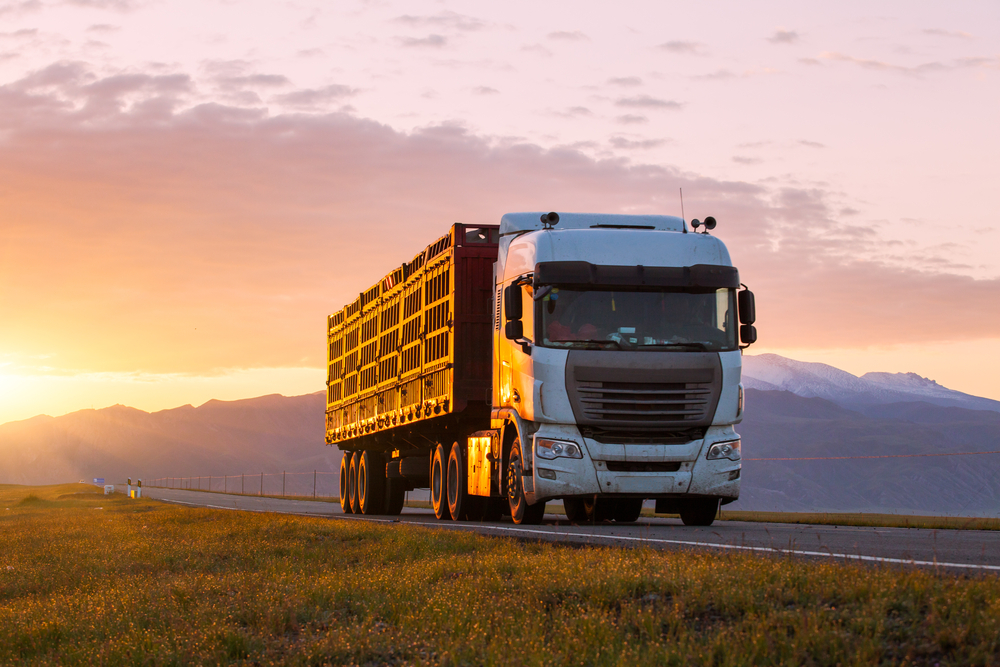 Why You Need Commercial Vehicle Insurance NYC