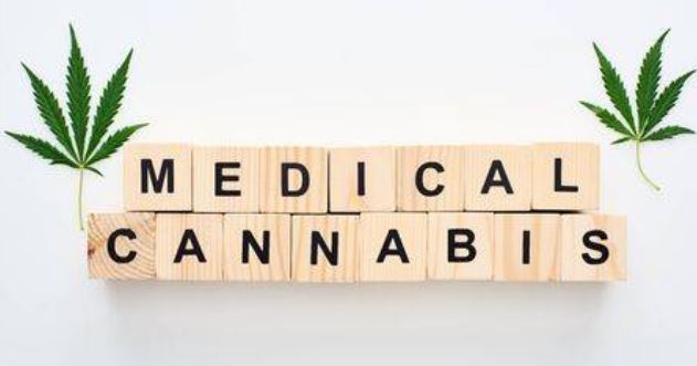 Medical Cannabis: A Contribution To The Health Industry