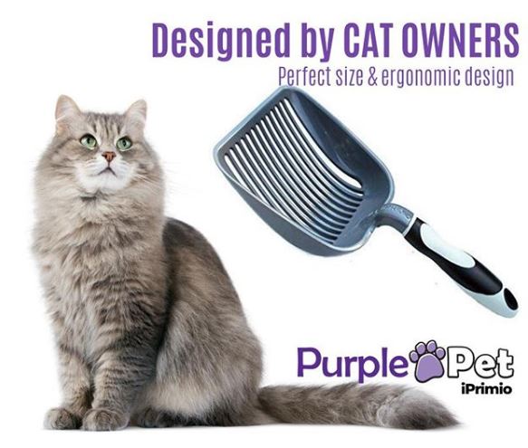 Top Accessories to Buy for your Cat