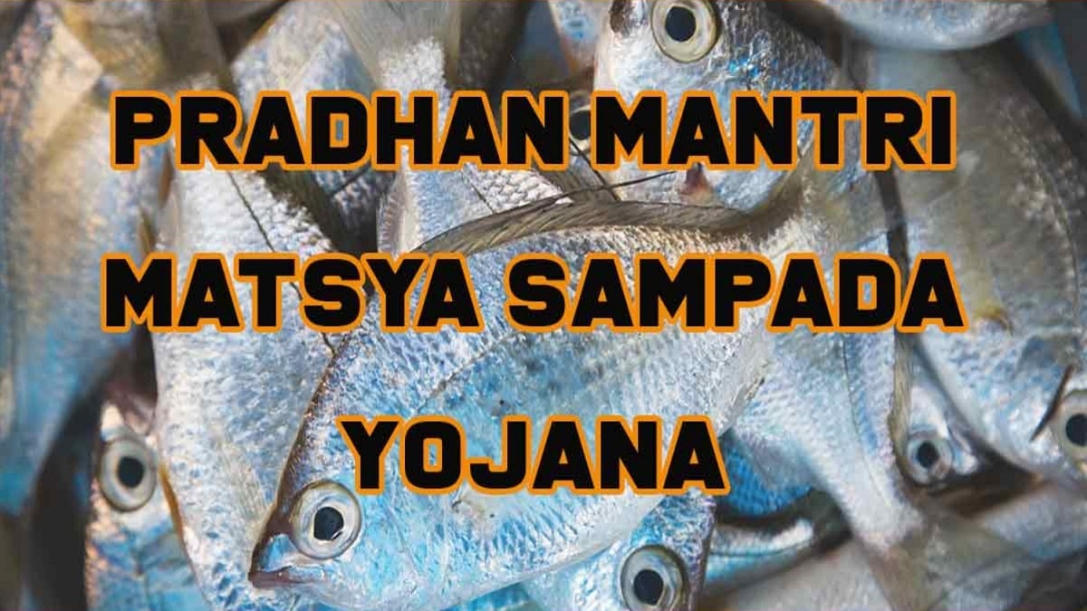 Pradhan Mantri Matsya Sampada Yojana for Fish Farmers