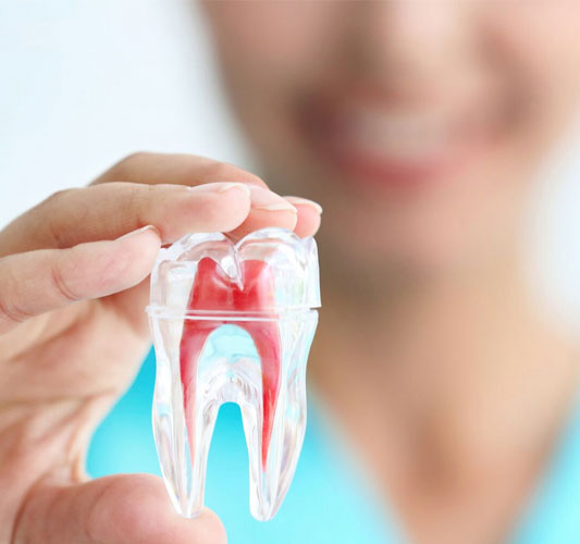 The Services Offered by Root Canal Treatment in Auckland