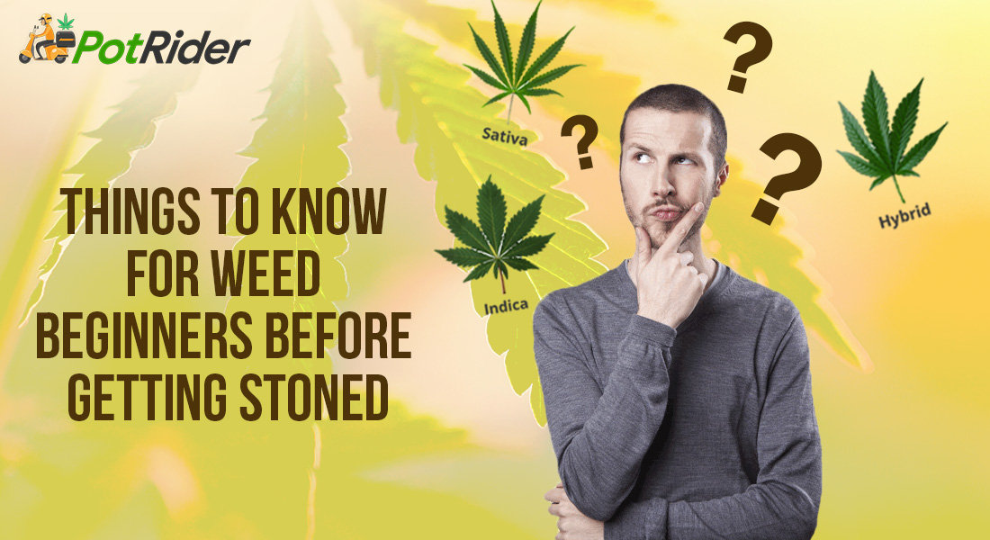 Things To Know For Weed Beginners Before Getting Stoned