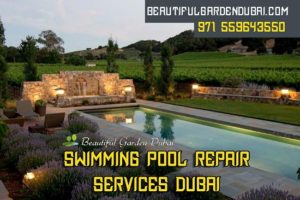 swimming pool repair services Dubai