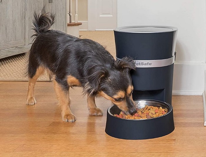 What Is A Remote Dog Treat Feeder And What To Look For When Buying It