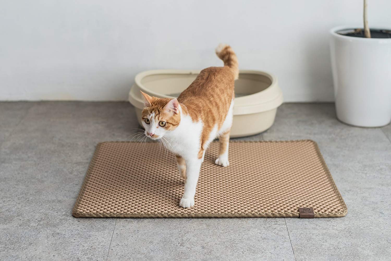 Find The Best Litter Trapper Mat For Your Kitty