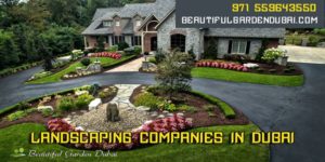 swimming pool and landscaping companies in dubai