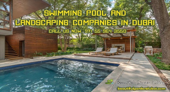 How To Make A Swimming Pool Eco-Friendly & Energy-Saving?