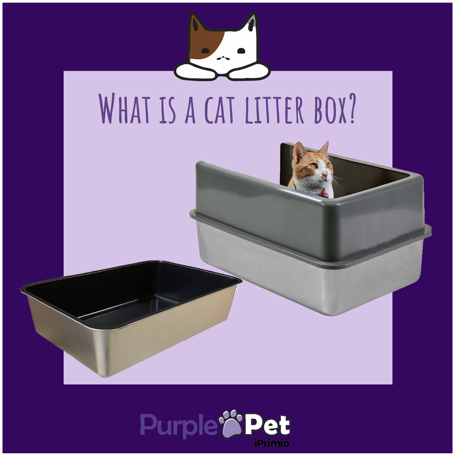 How to Use a Non Stick Litter Box