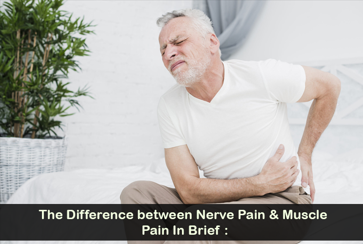 The Contrast between Muscular Pain & Neuropathic Pain