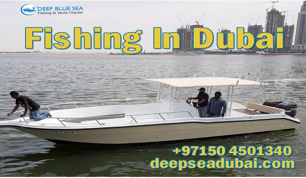 Become a Part of Dubai Fishing Trip to Rejuvenate Your Soul