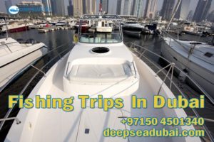 Fishing Trips In Dubai