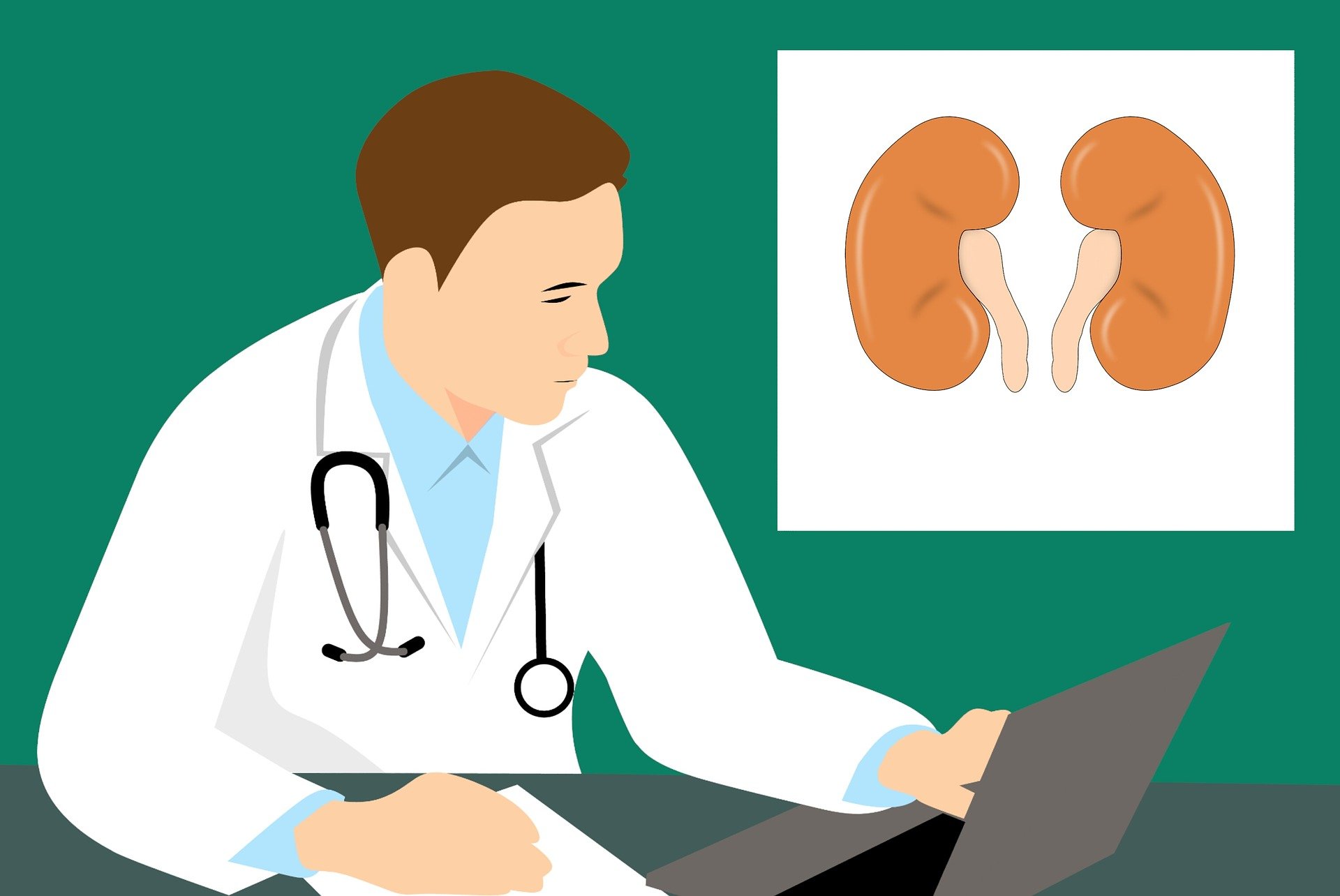 All You Need to Know About Kidney Dialysis
