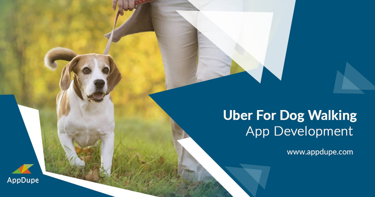 Spectacular features to include in Dog walking app development