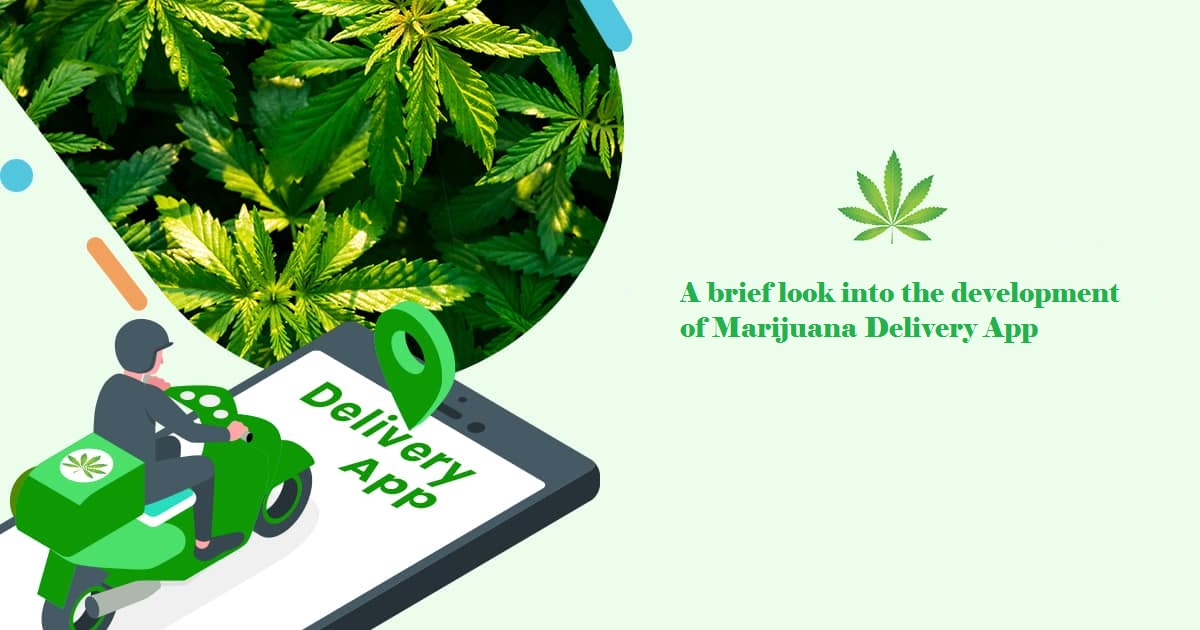 A Brief Look into the Development of Marijuana Delivery App