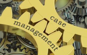 Case Management Hawaii