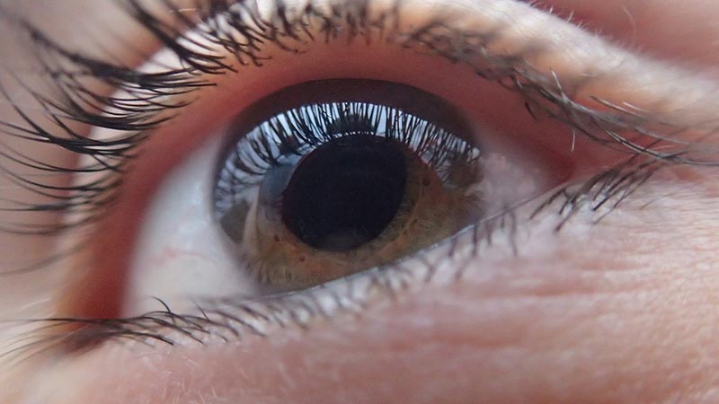 Dangers of Avoiding The Symptoms of Cataract