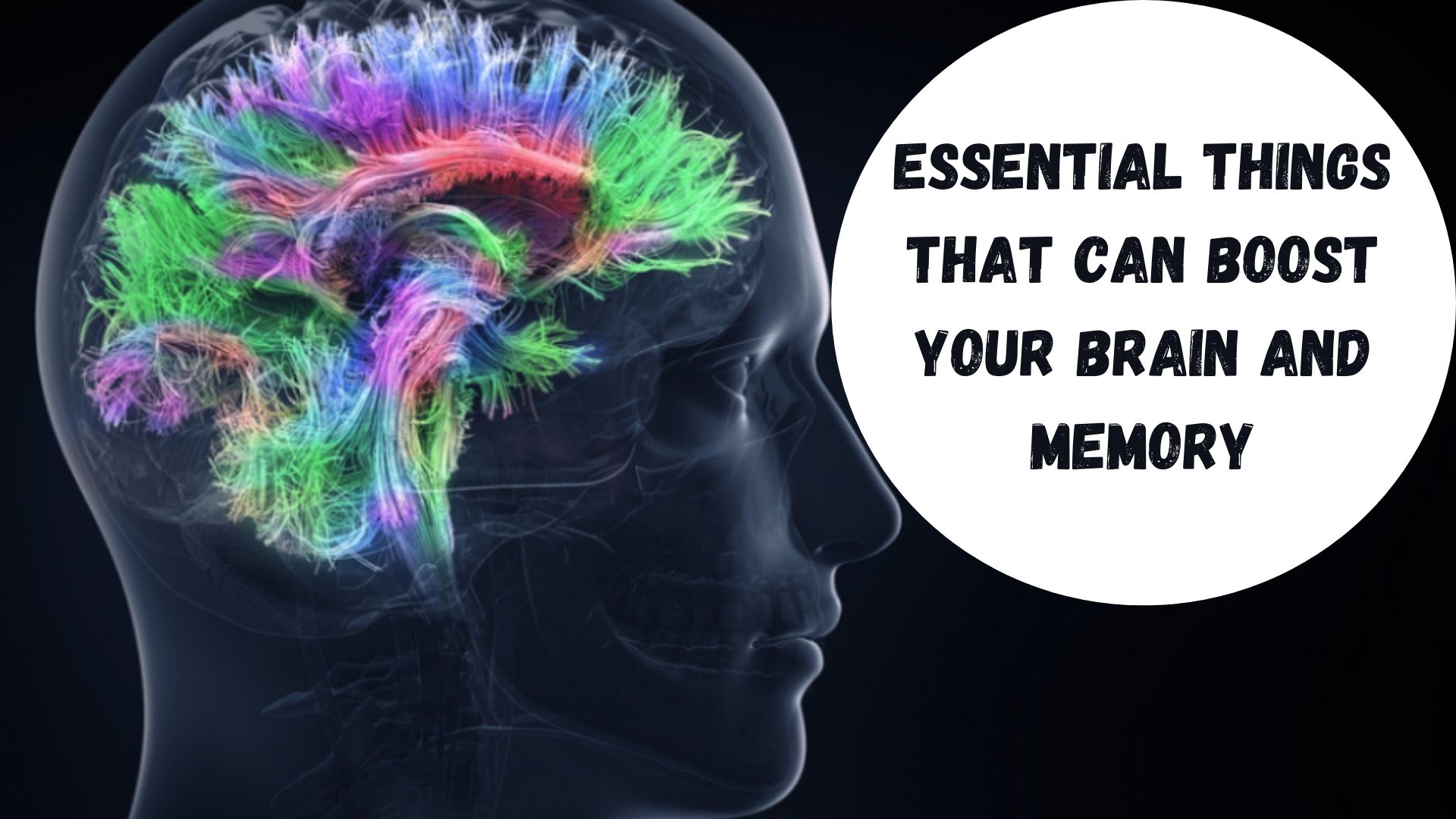 Essential Things That Can Boost Your Brain and Memory