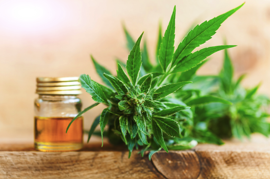 THC vs CBD: Similarities Differences and More