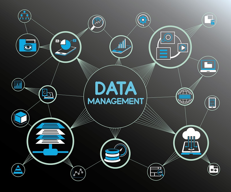 How Can Master Data Management Help Your Organization?