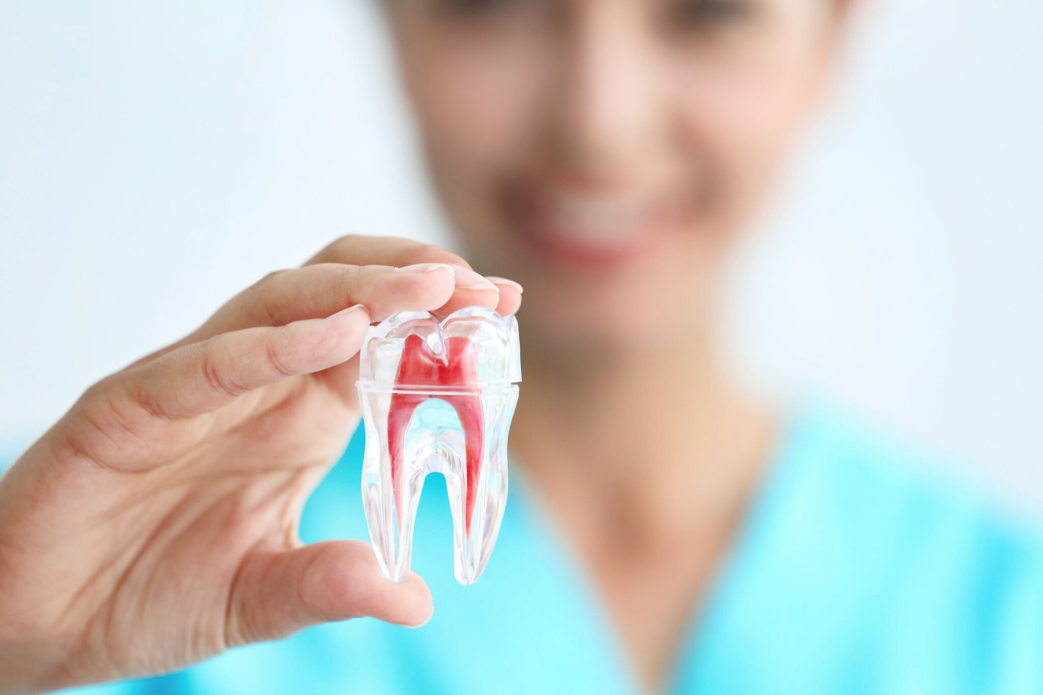 The Services and Functions Work Under Root Canal Work in Auckland CBD