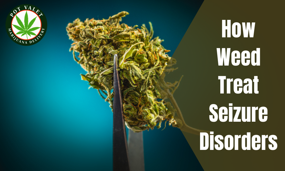 How Weed Treat Seizure Disorders
