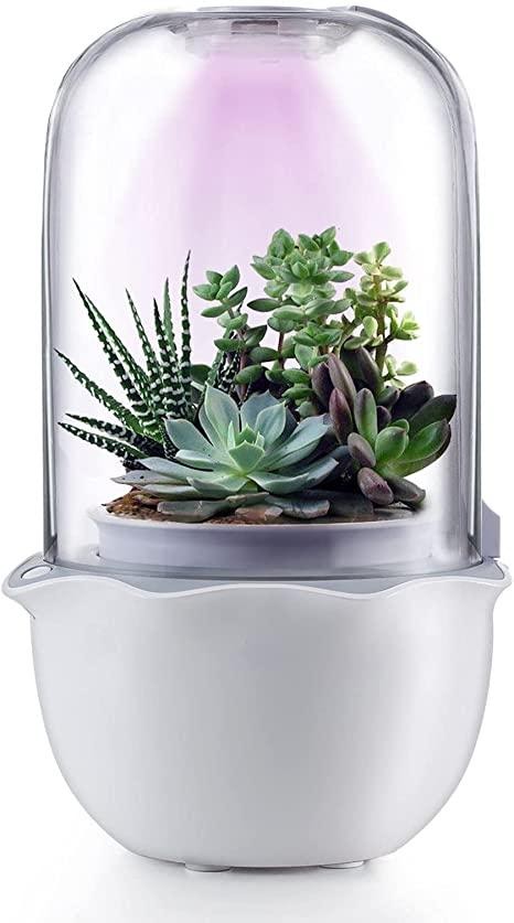New 2021 Self Watering Flower Pot