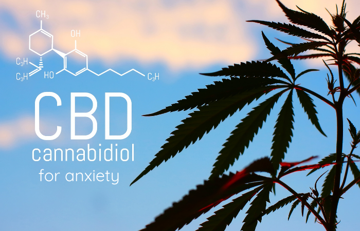 From Vaping to Indulging in Tasty Gummies – Best Ways to Use CBD for Anxiety