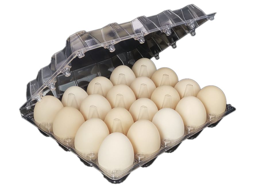 Reasons To Buy The Egg Tray Machine Available For Sale