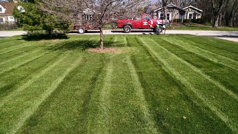 Why Opt For Organic Lawn Care?