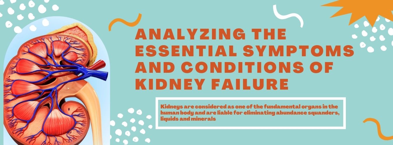 Analyzing the Essential Symptoms and Conditions of Kidney Failure