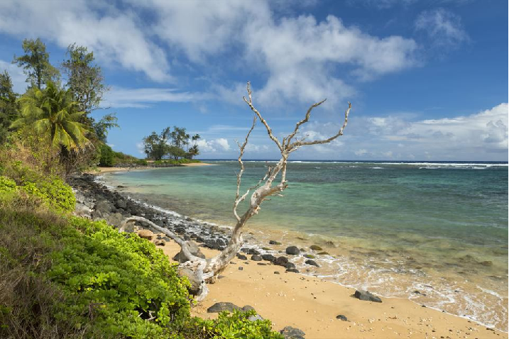 What is The Best Way To Travel Between Hawaii Islands?