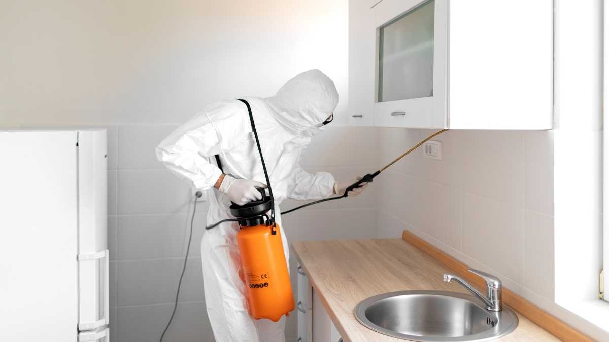 Expert Tips On Selecting The Best Pest Control Service Provider