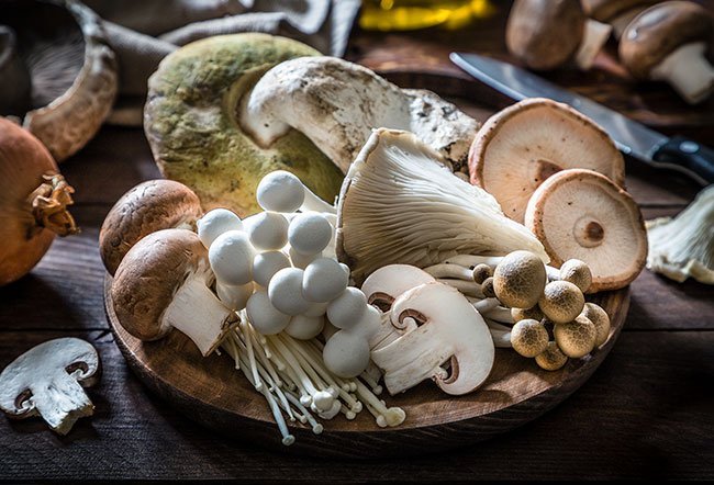 The Hidden Benefits of Mushrooms