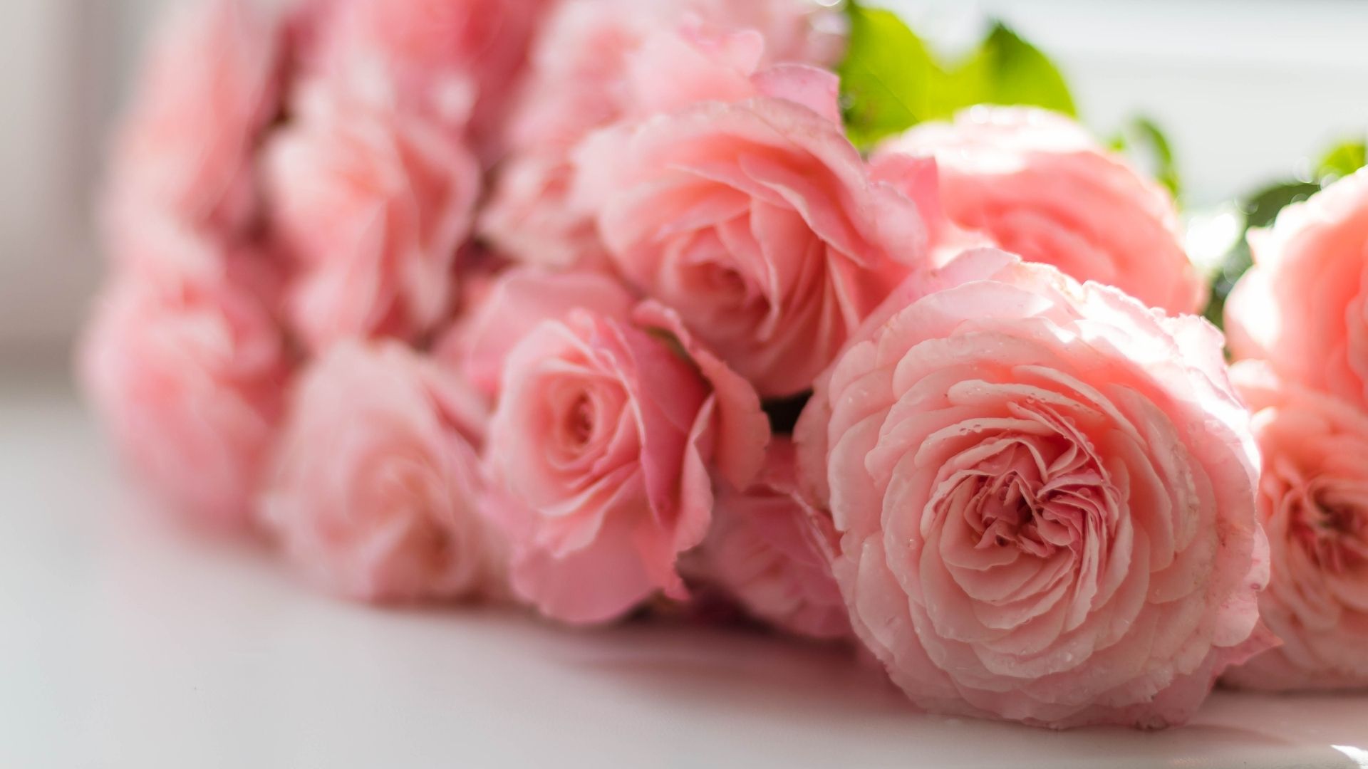 Customer’s Choice: 7 All-time Favourite Flowers to Participate In Every Celebration!