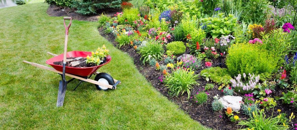 Making a Beautiful Garden and Maintaining It Is No More Difficult