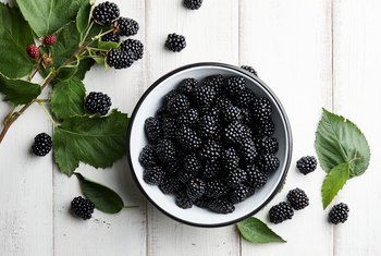 Facts And Benefits of Blackberries