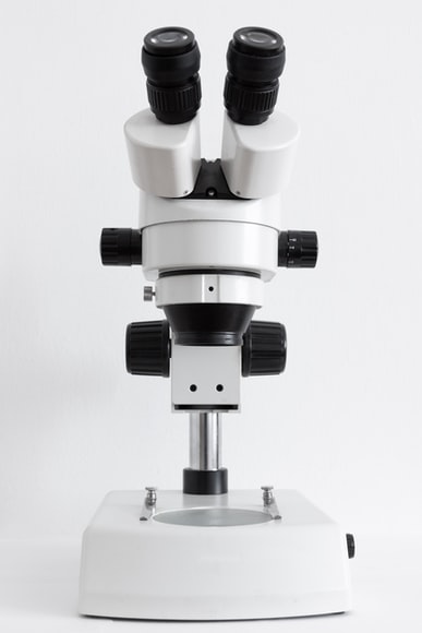 Determining the Difference Between Magnification and Resolution in Electron Microscopes