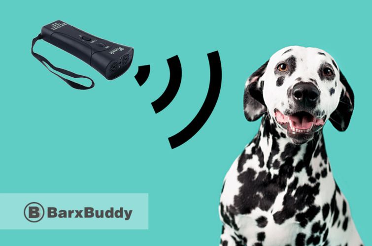 Everything you Need to Know about Barx Buddy Device