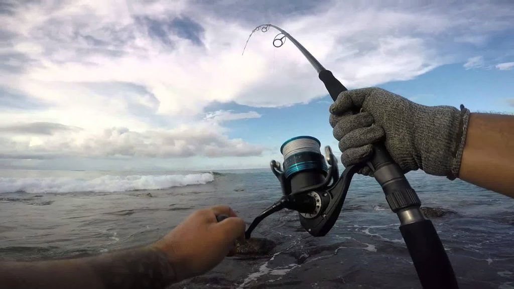 Spinning or Baitcasting Gear? Find out Here for Saltwater