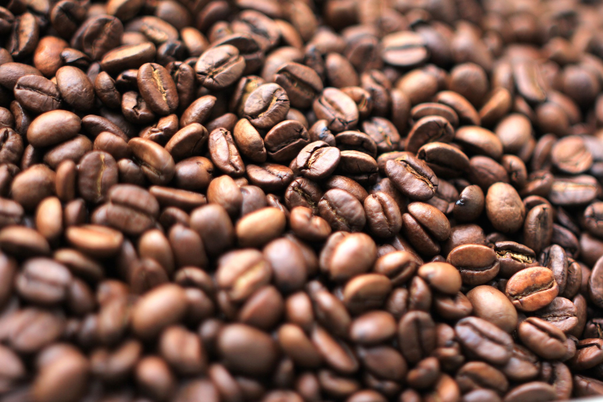 Why Everyone is Obsessed With Arabica Coffee?