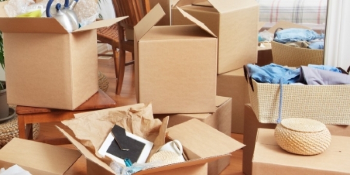 Information About The Professional Packers Movers In Mumbai