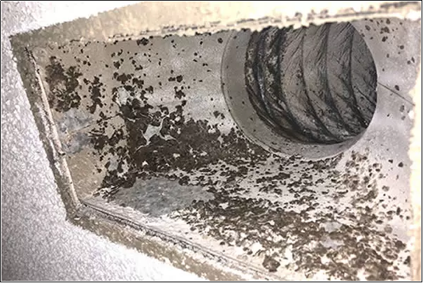 Is It Normal To Have Mold In Air Ducts?